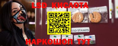 амф Донской