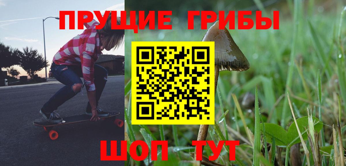 Псилоцибиновые грибы Cubensis Нефтекамск