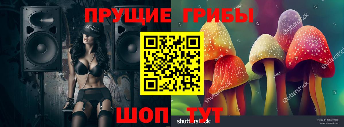 Псилоцибиновые грибы Psilocybe  Вход с VPN  Нефтекамск 